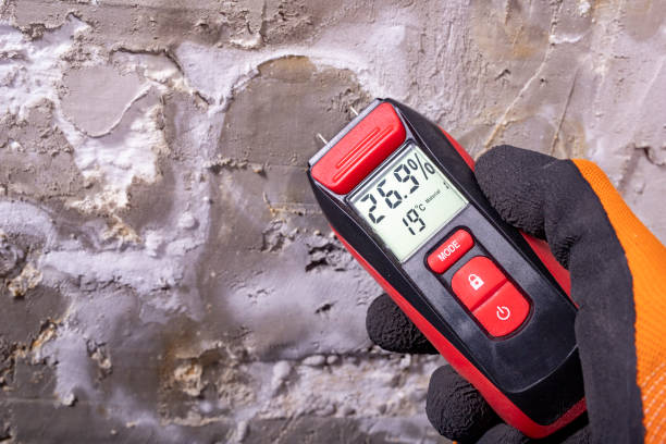 Best Crawl Space Mold Removal  in Byers, CO