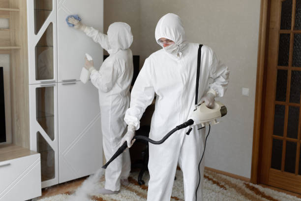 Best Attic Mold Removal  in Byers, CO