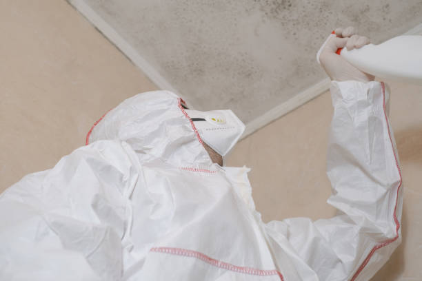 Best Crawl Space Mold Removal  in Byers, CO